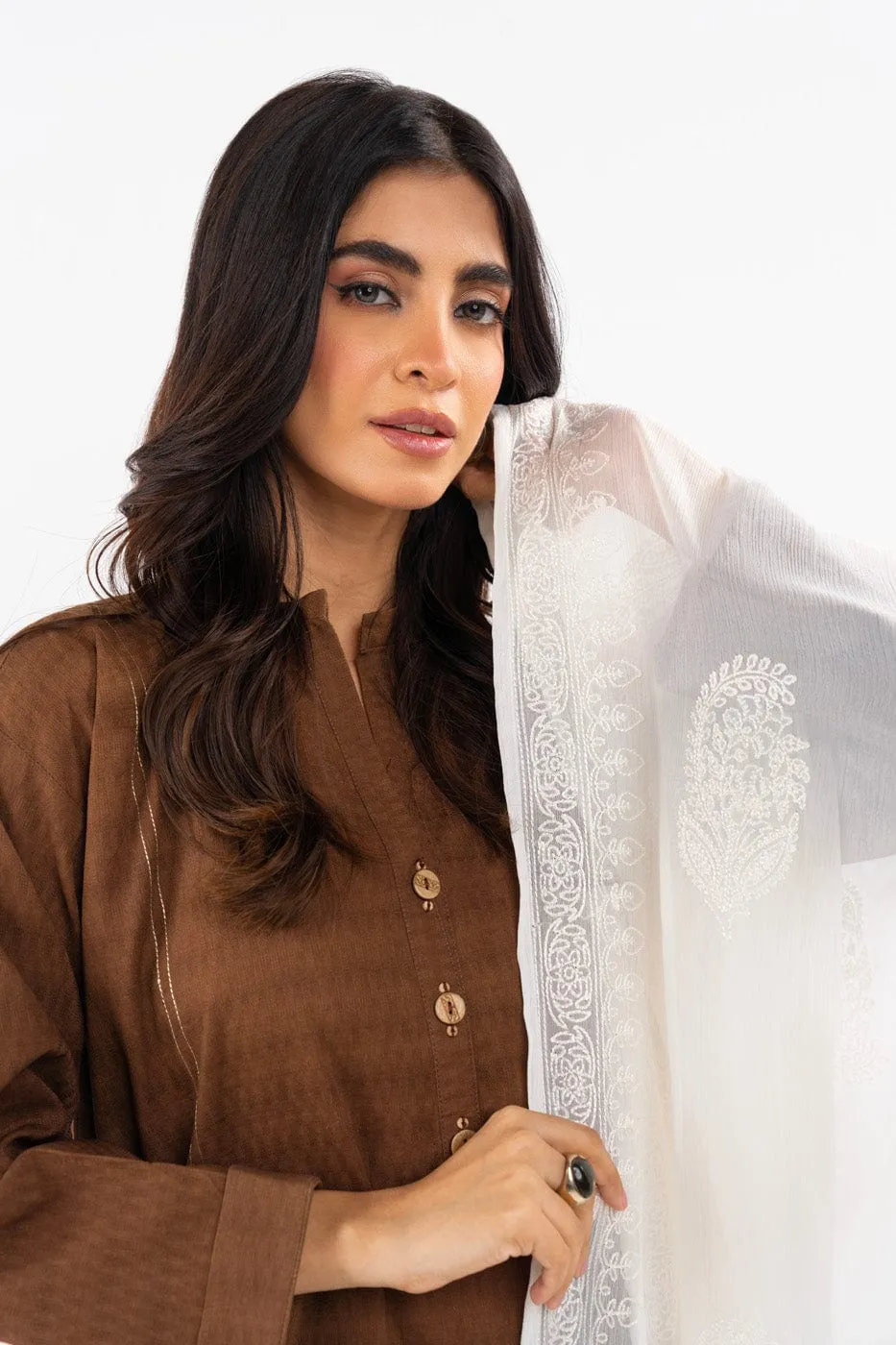 1 Pc Embroidered Chiffon Dupatta