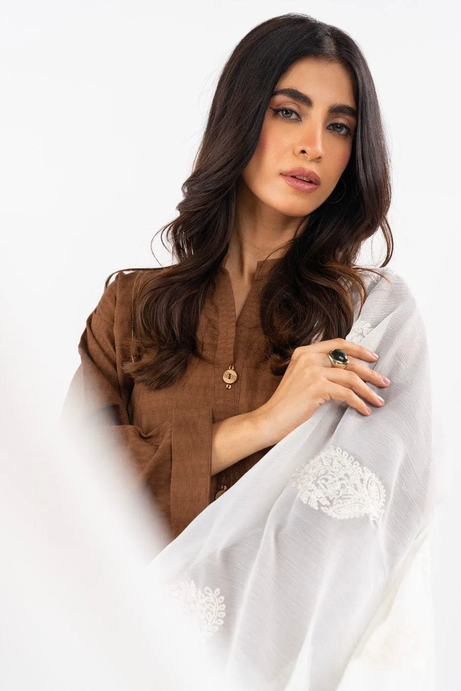 1 Pc Embroidered Chiffon Dupatta