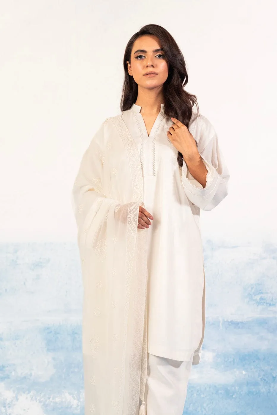 1 Pc Embroidered Chiffon Dupatta