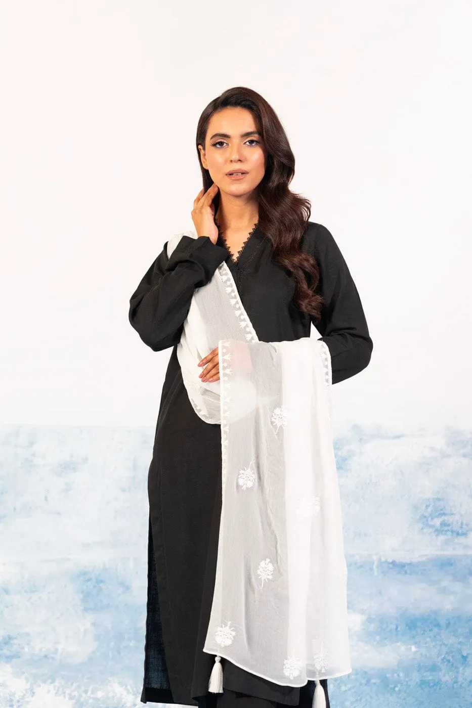 1 Pc Embroidered Chiffon Dupatta