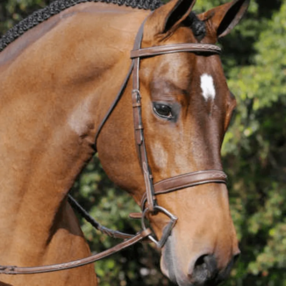 ADT Tribute Fancy Stitch Show Bridle