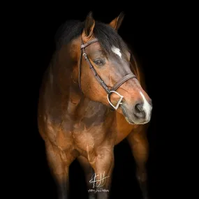 ADT Tribute Fancy Stitch Show Bridle