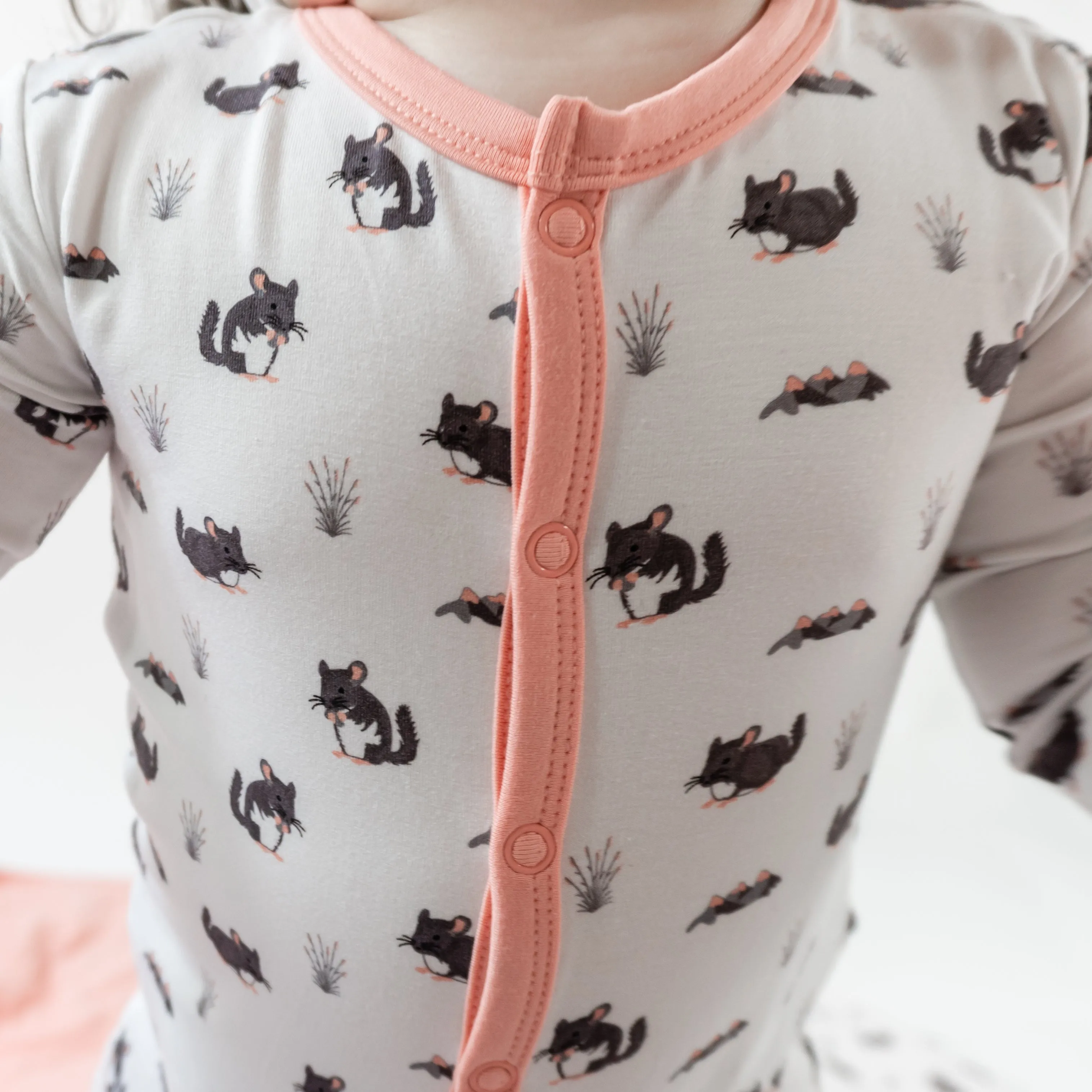 Chinchilla | Snap Footie