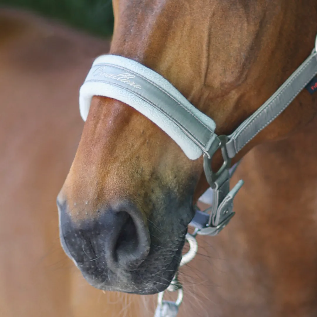 Covalliero Padded Headcollar
