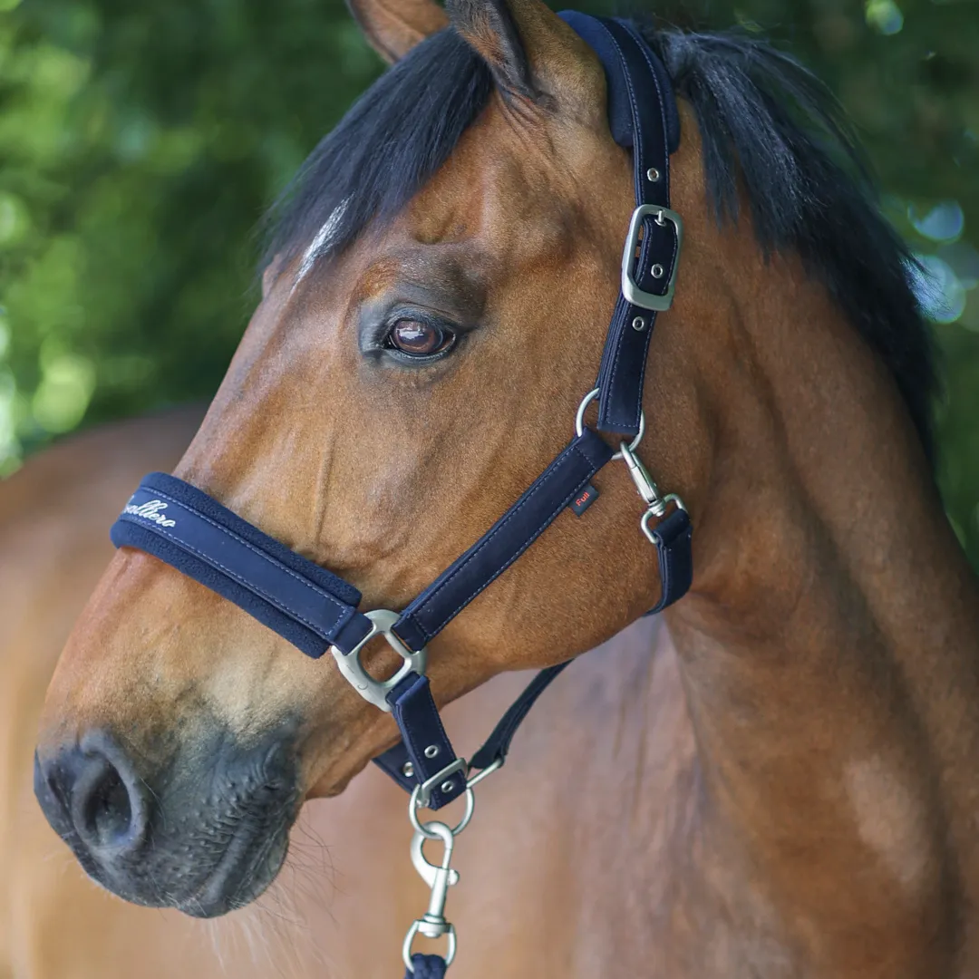 Covalliero Padded Headcollar