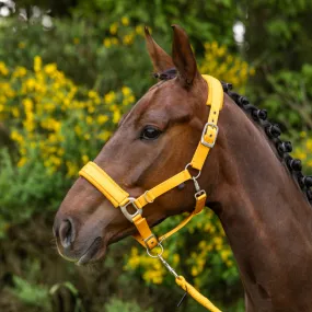 Covalliero Padded Headcollar