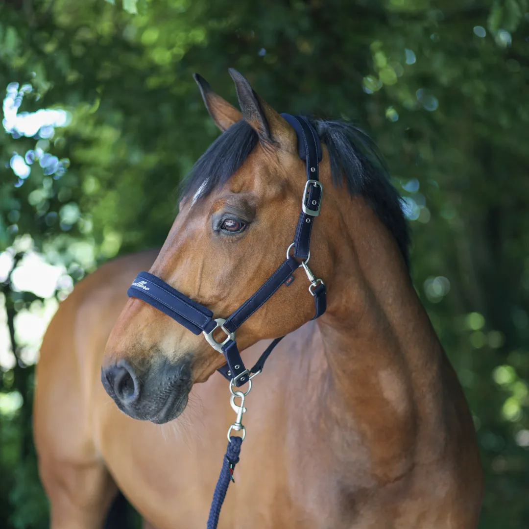 Covalliero Padded Headcollar