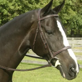 Red Barn Sovereign Hunter Bridle