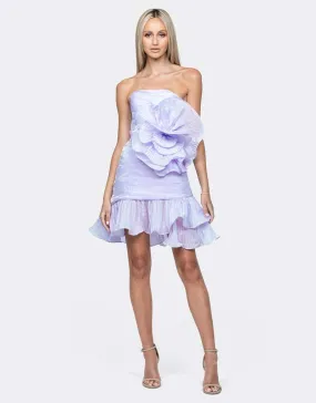 Stylish Womens Pleated Rosette Mini Dress - BL64D20S